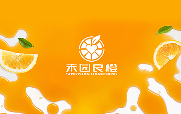 某良橙——西安LOGO设计